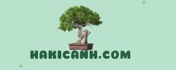 hakicanh.com